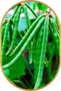 HepatoBurn Ingredients 